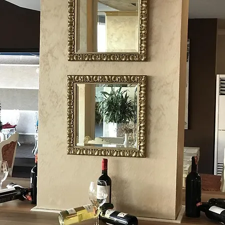 豪华酒店 酒店 地拉那