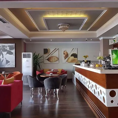 豪华酒店 酒店 地拉那